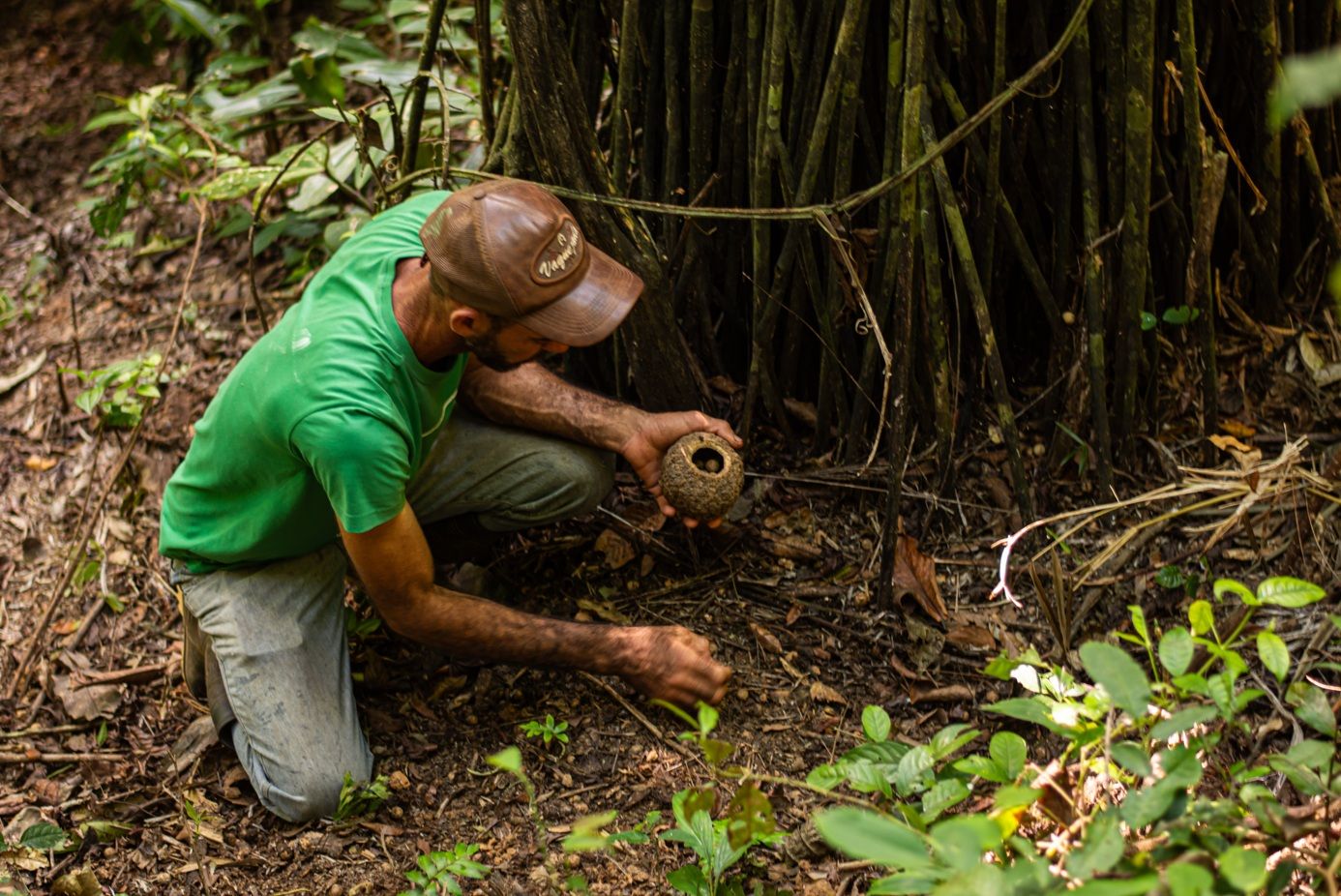 Mosaico Amazônia Legal: Mapeamento cultural do artesanato brasileiro
