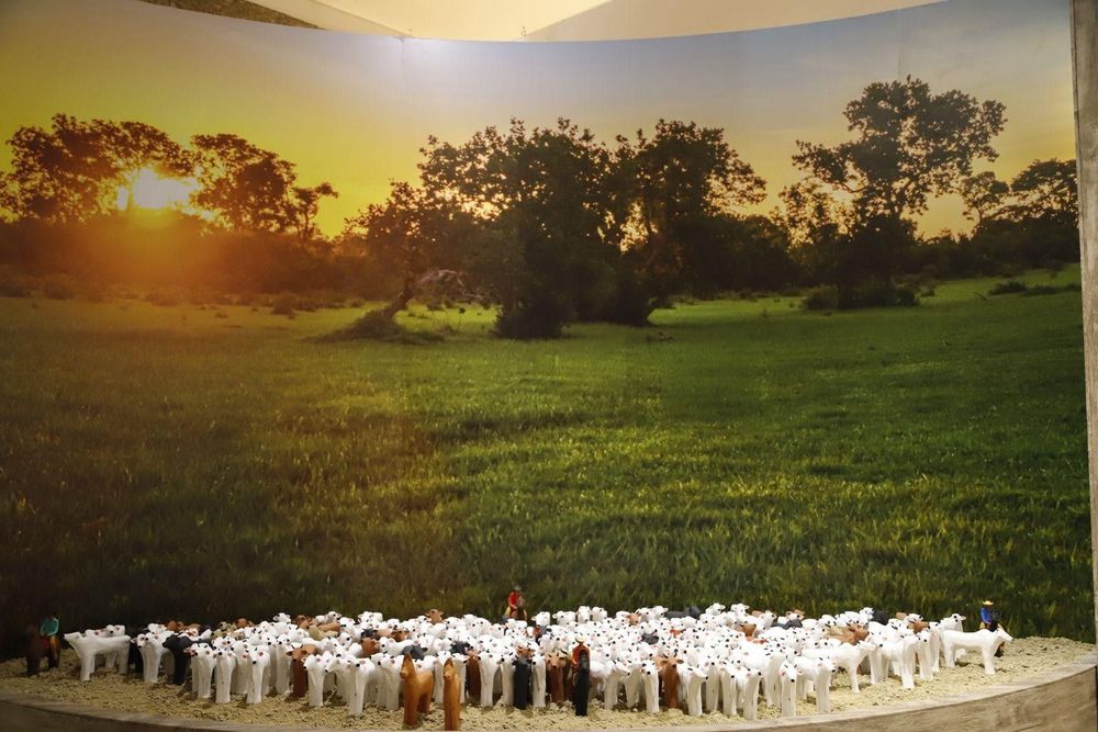 CRAB abre mostra com artesanato que retrata a vida pantaneira no Mato Grosso do Sul