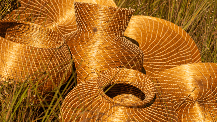 Bioeconomia e mercado artesanal sustentável no Tocantins